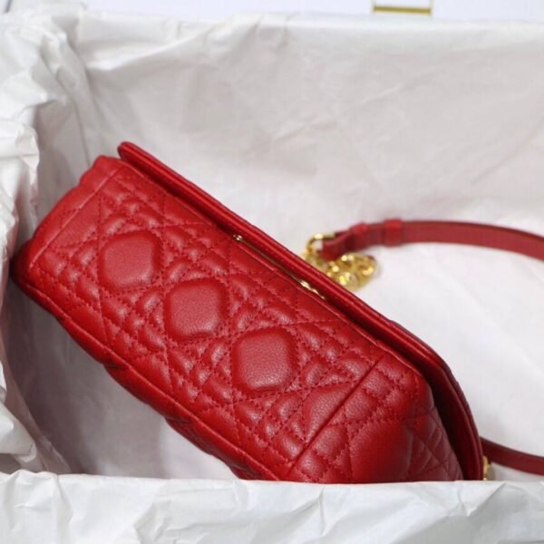 Caro Rot 20 cm - Image 4
