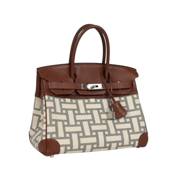 Marron D’Inde Buffalo und Mosaique Canvas mit Palladium-Beschlägen 30 cm - Image 2