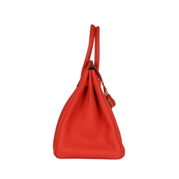 Capucine Togo mit Gold-Beschlägen 35 cm - Image 3