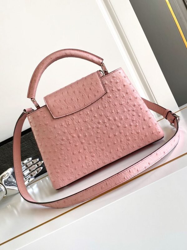 Capucines Strauß Rosa/Silber 31 cm - Image 2